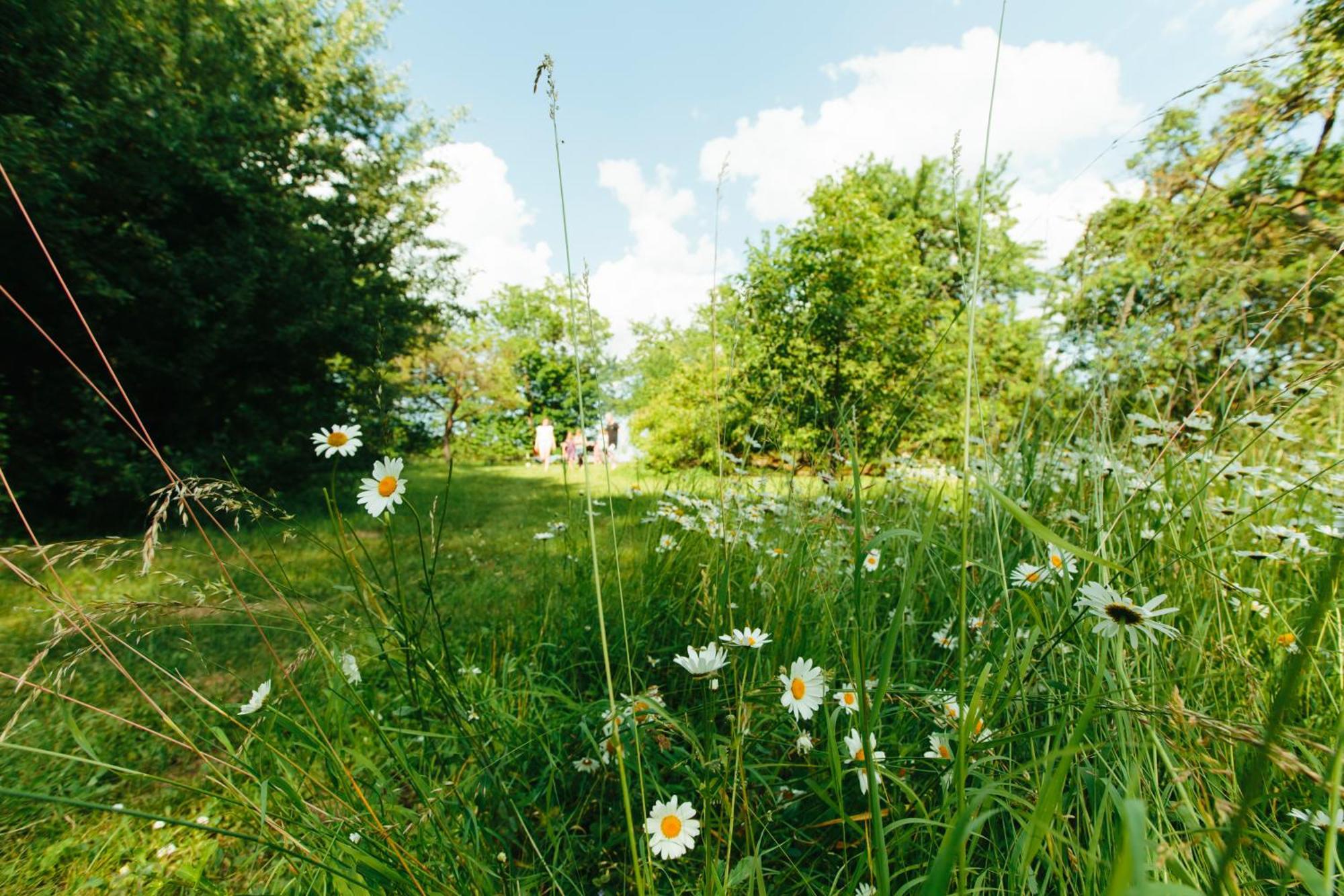 Feriendomizil Alter Garten Temmen-Ringenwalde エクステリア 写真