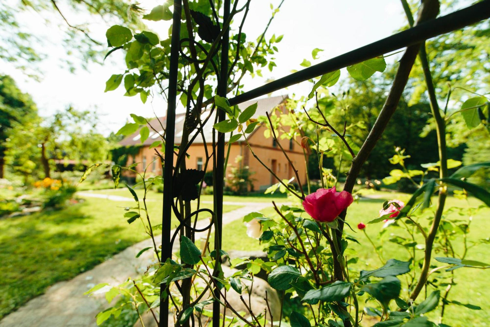 Feriendomizil Alter Garten Temmen-Ringenwalde エクステリア 写真