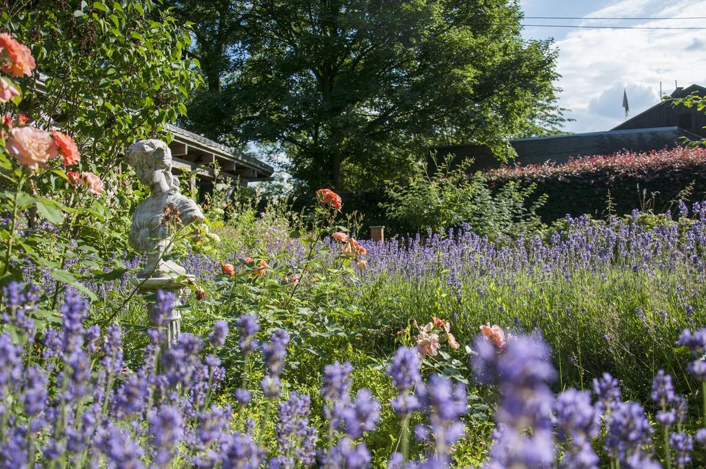 Feriendomizil Alter Garten Temmen-Ringenwalde エクステリア 写真
