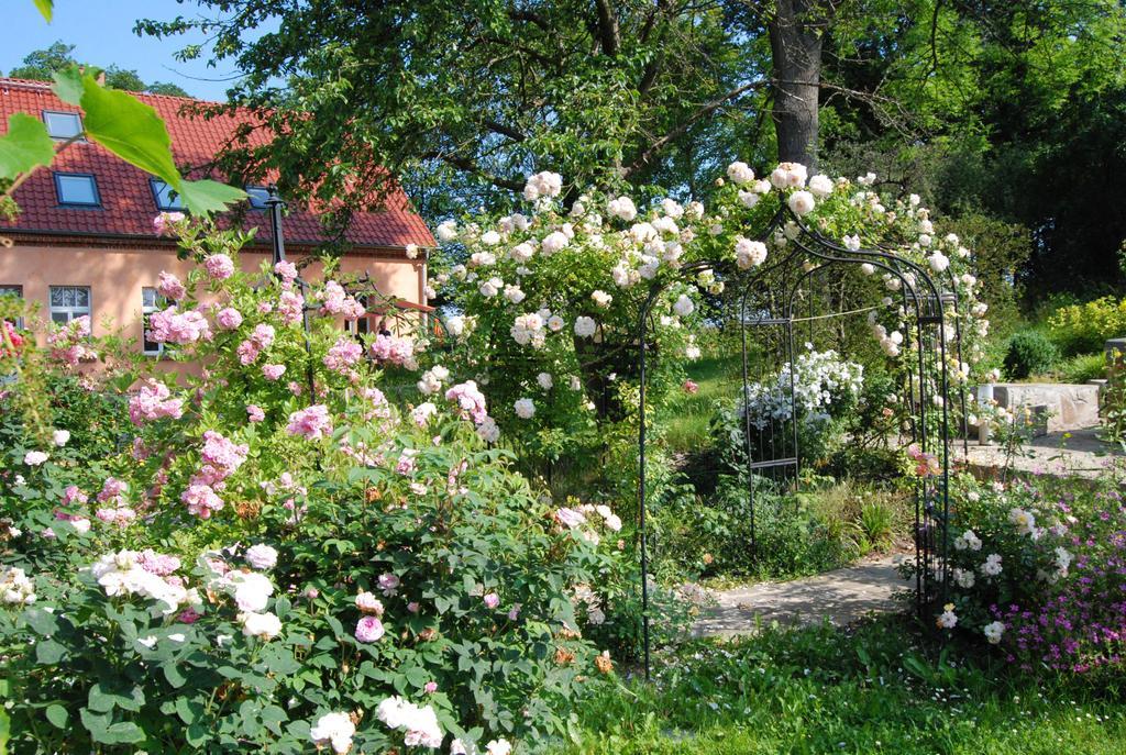 Feriendomizil Alter Garten Temmen-Ringenwalde エクステリア 写真